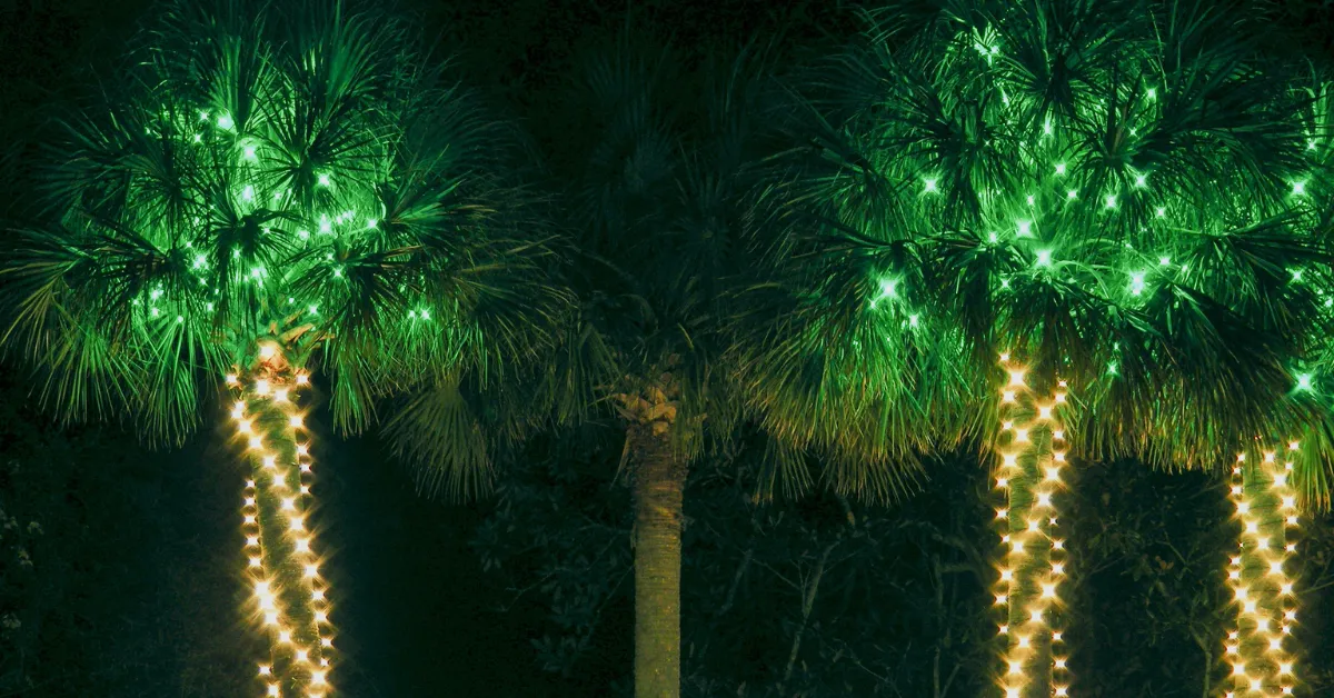 Palm tree lighting ideas