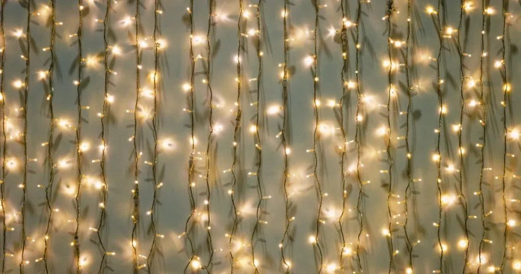 Fairy Lights on fence